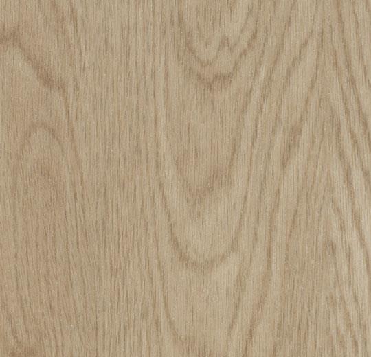 whitewash elegant oak 120 60064FL