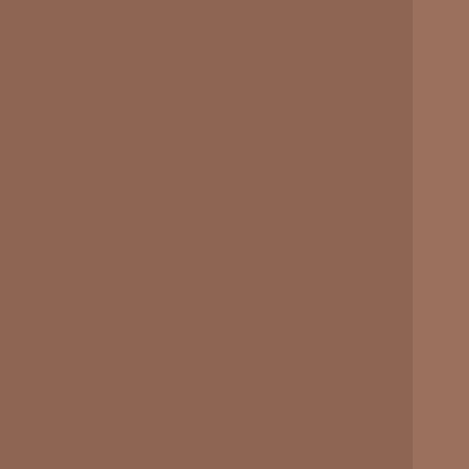 Floorin põrandad - tuscan red bisel