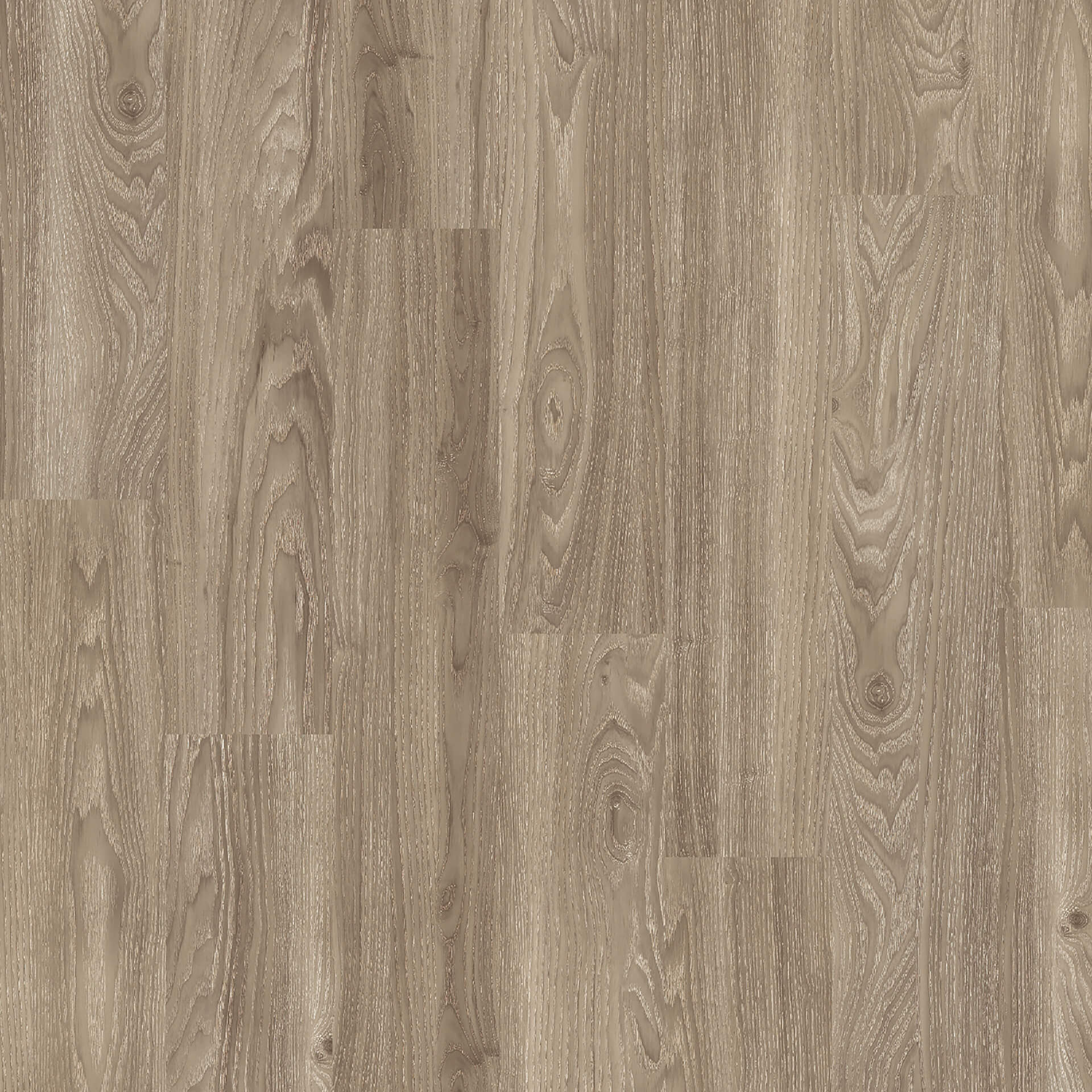 Floorin põrandad - light elm