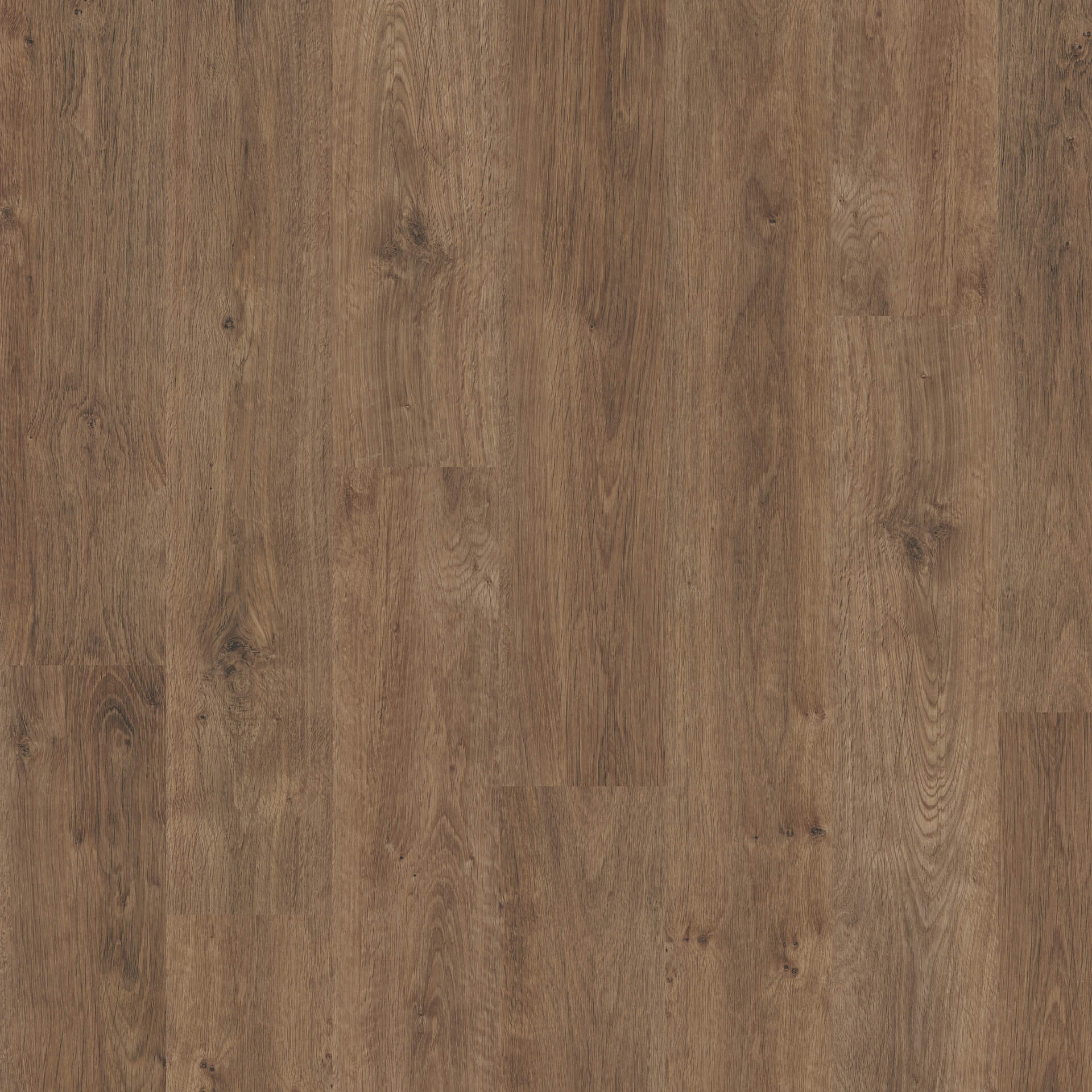 dark classic oak 4088