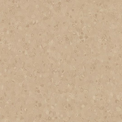 stone 50024